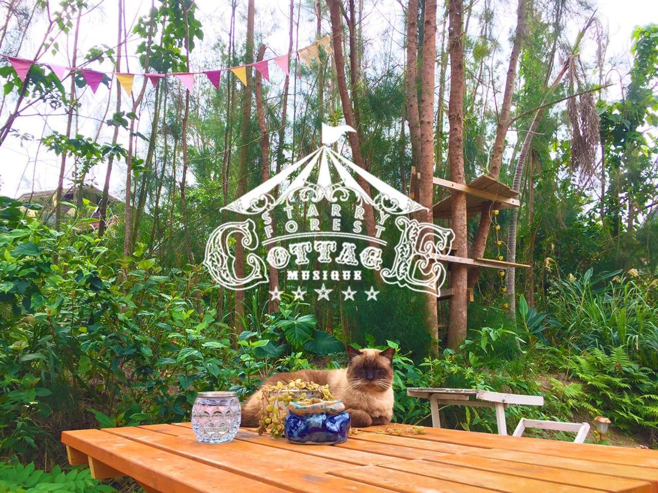 猫とピアノと星空のリゾートブティックコテージ - Starry Forest Cottage Okinawa - Onna Exterior foto